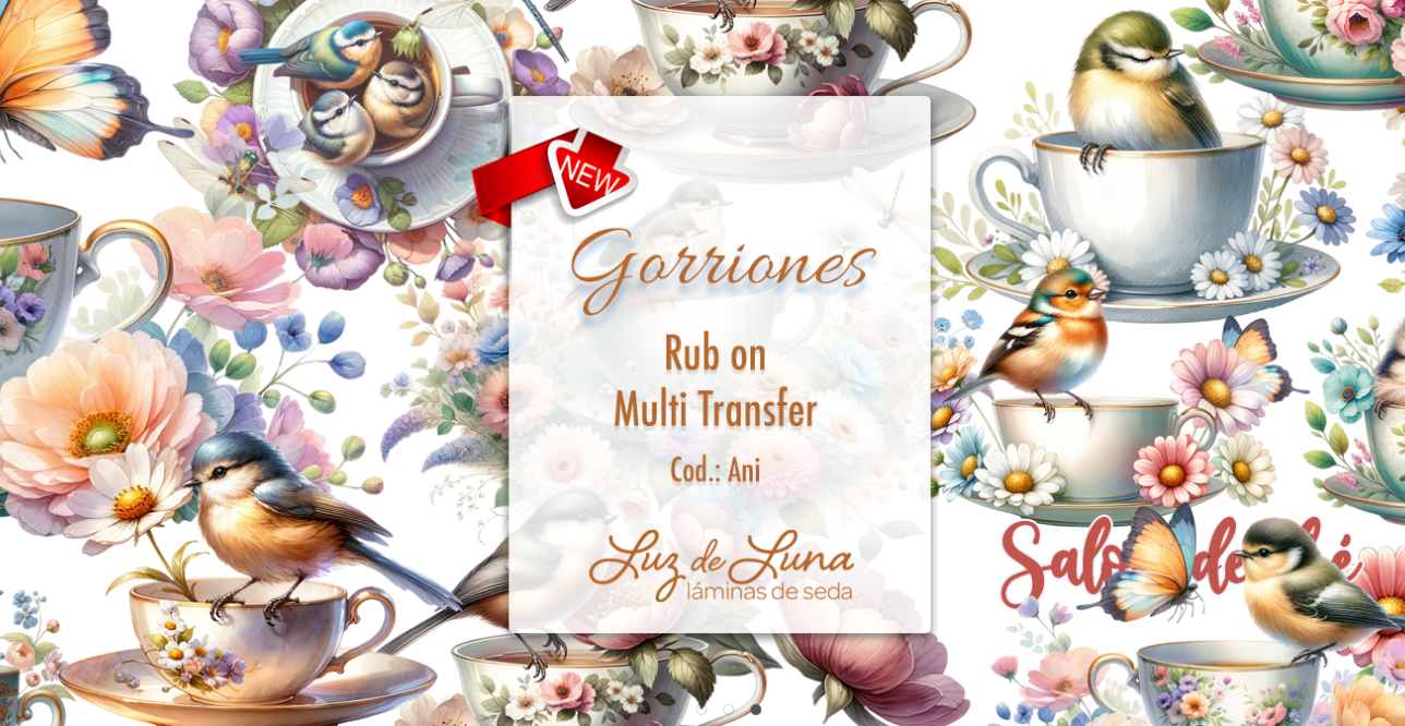 Imagen del carrusel de contacto 1